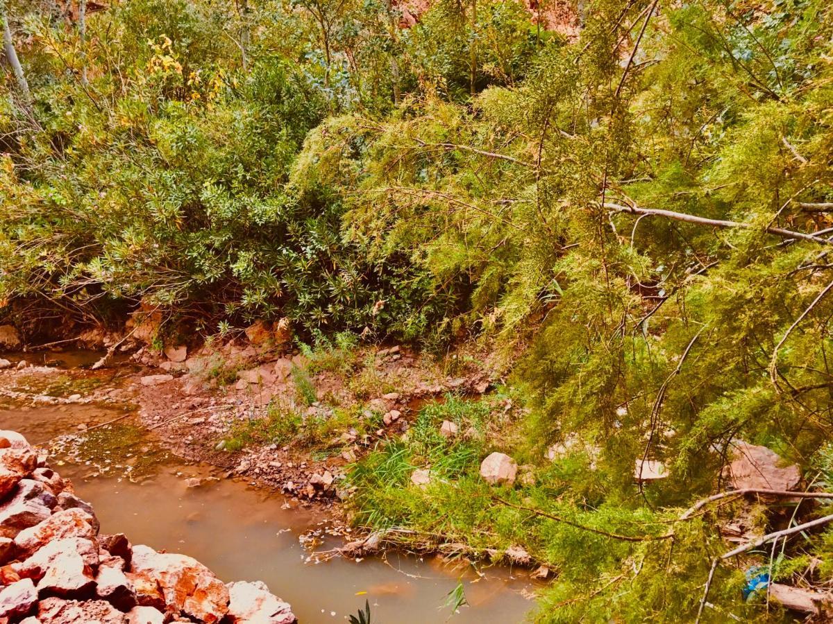 Aït Idaïr Hotel Panoramique De La Vallee מראה חיצוני תמונה