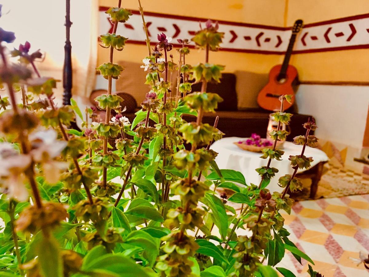 Aït Idaïr Hotel Panoramique De La Vallee מראה חיצוני תמונה